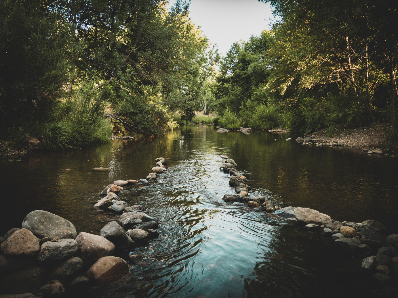 A River Between Green Trees